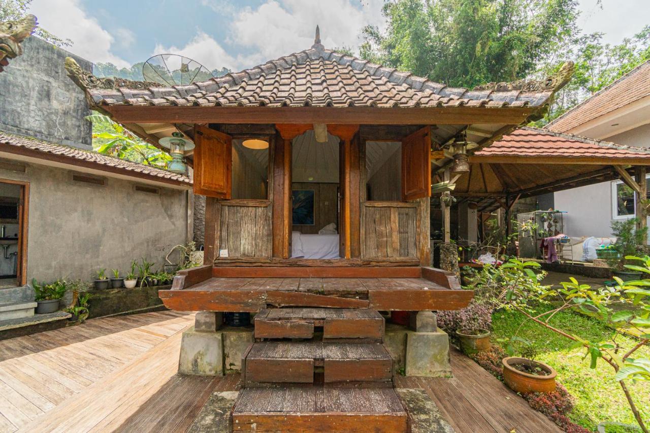 贝都古Four Monkeys House别墅 外观 照片